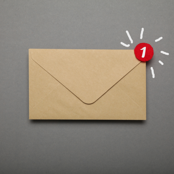Bionic AI Email Data Style Framework